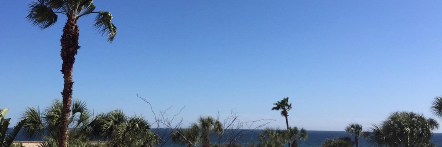 leahmcbroom's profile banner image