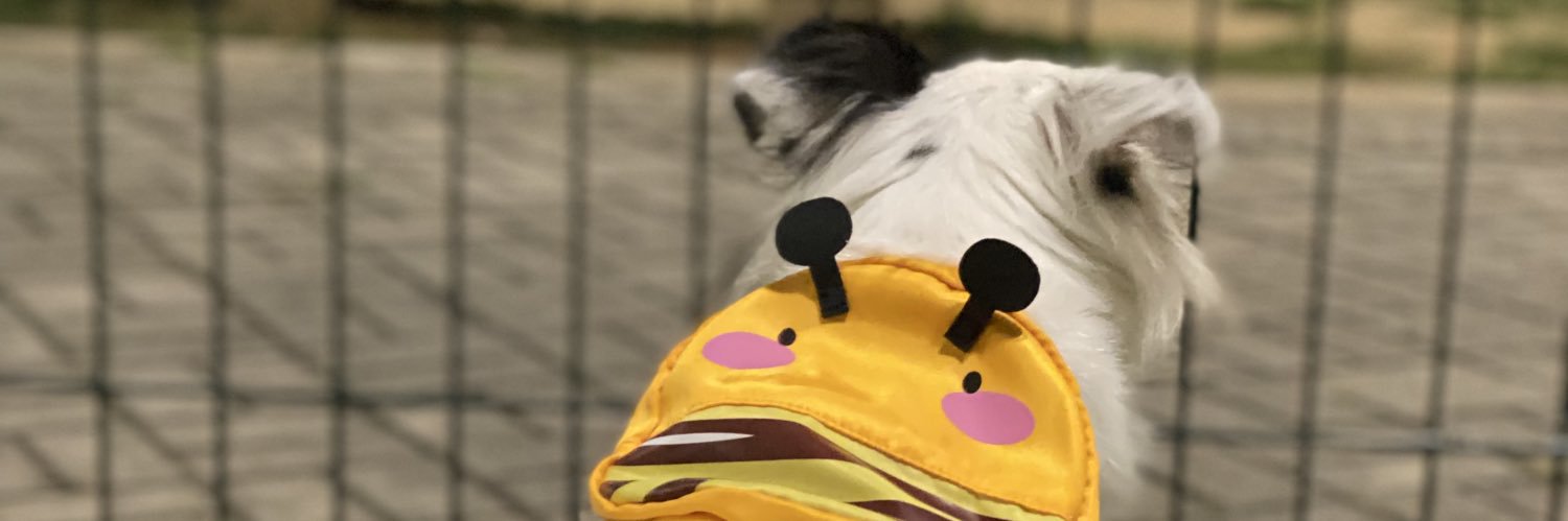 while1bl00m's profile banner image