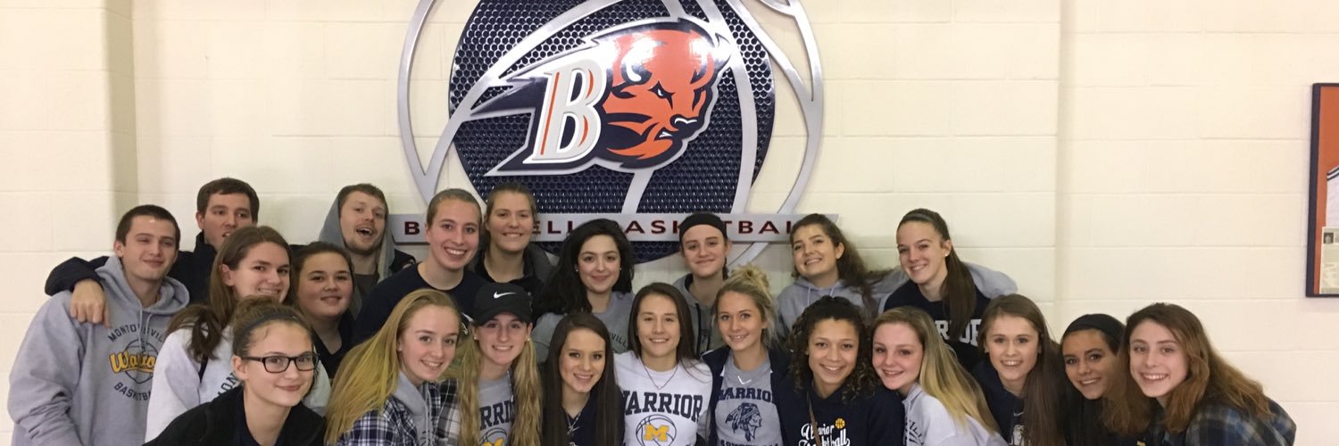 LadyWarriorBall's profile banner image
