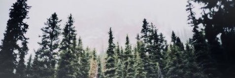 tylerblang's profile banner image