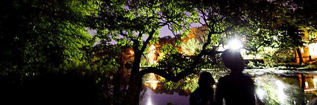 sarinatrangle banner