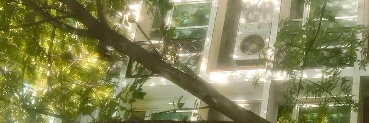 vuicew's profile banner image