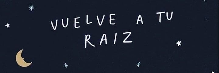 Rǿ ✩🦄🍍 banner