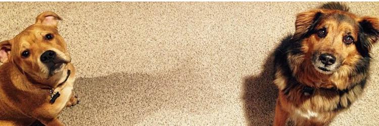 taylorsobczak's profile banner image