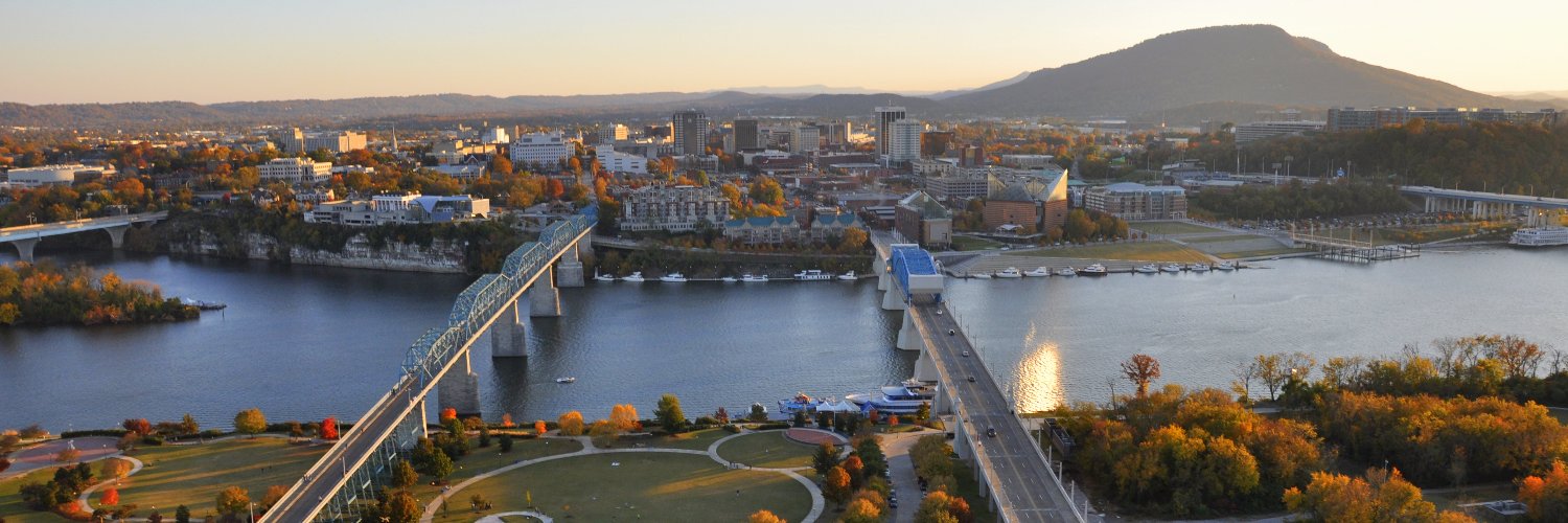 Chattanooga Pulse banner