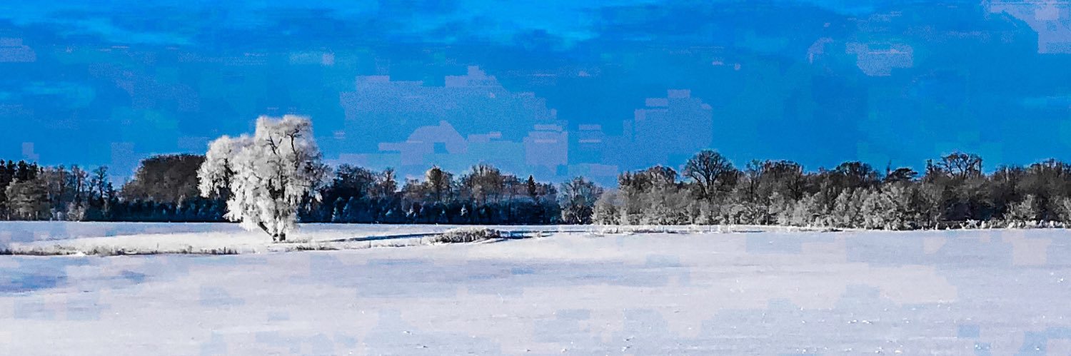 Real_Sutherland's profile banner image