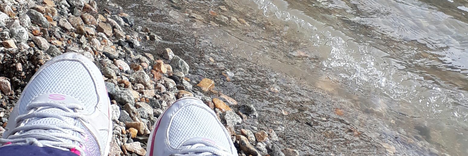 LuanaLenz6's profile banner image