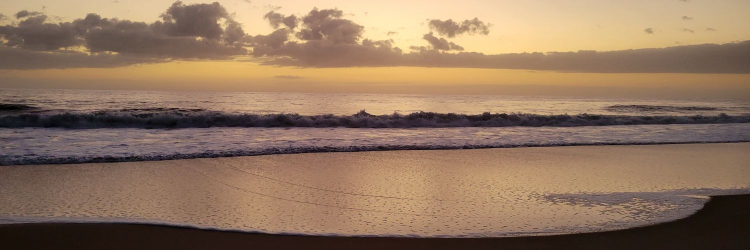 PaullyParton's profile banner image