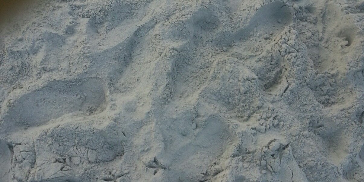sexy_lady_bug's profile banner image