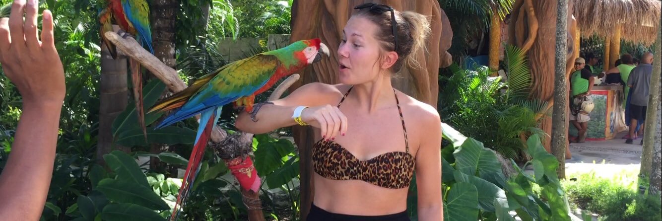 emmaett's profile banner image