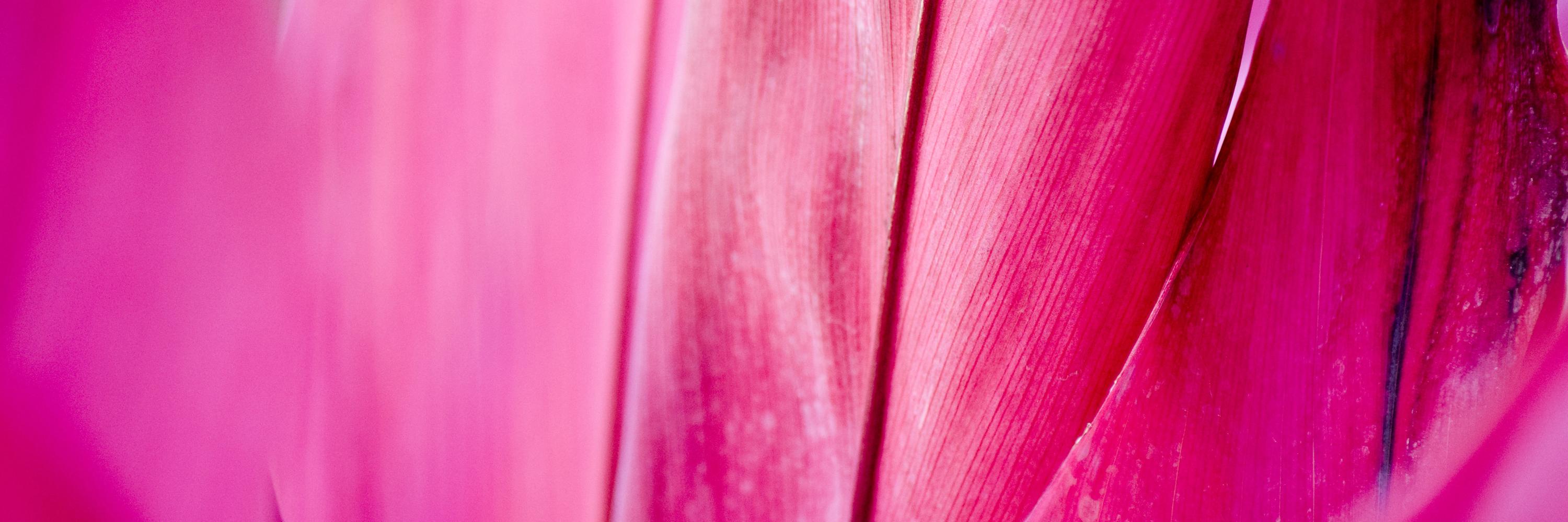 Abstract Artworks banner