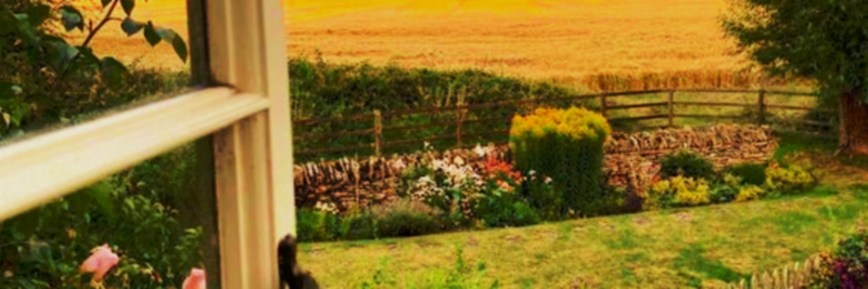 magpielad's profile banner image