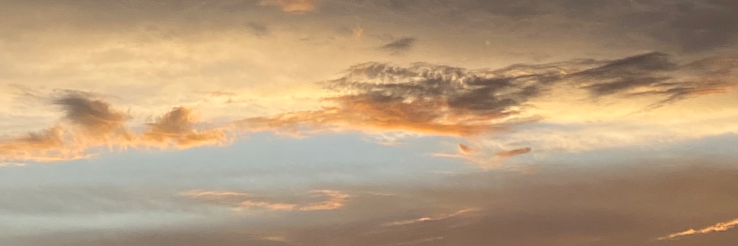 fiorela_pm's profile banner image