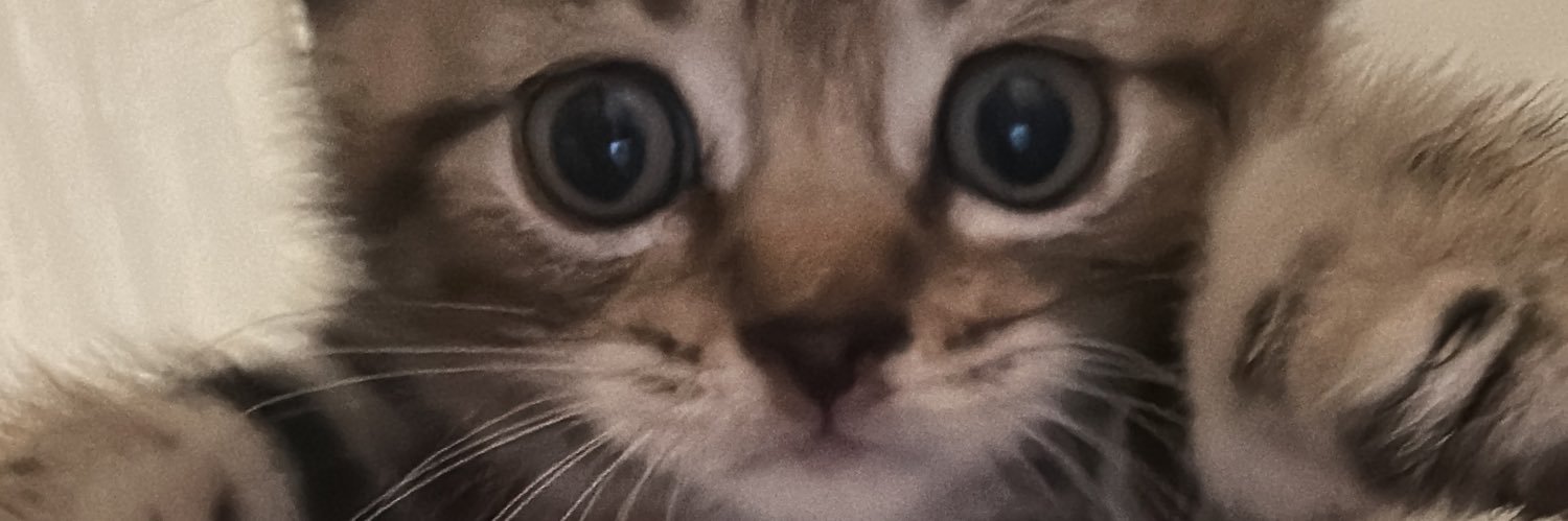 valkyriejunie's profile banner image