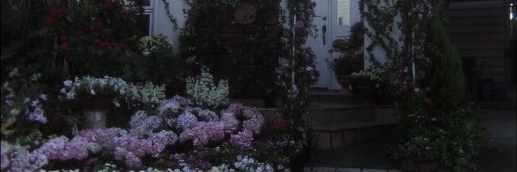 dvbiiii's profile banner image