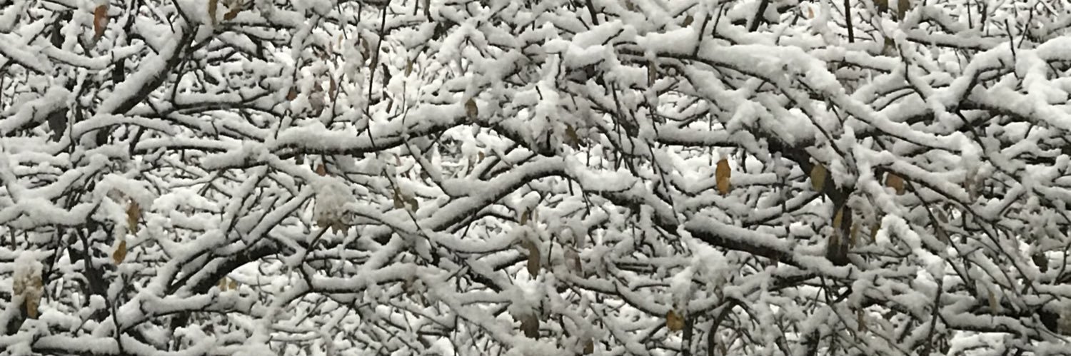 Eric Hamilton (he/him/el) banner