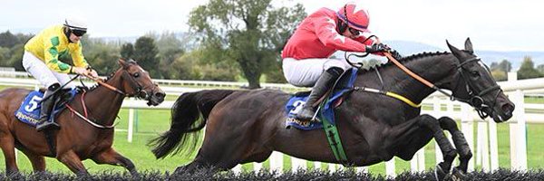 SingletonJack Profile Banner