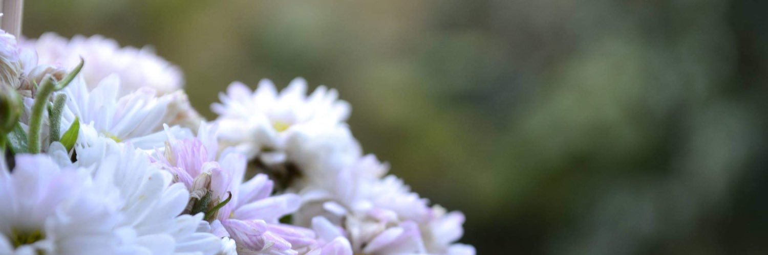 Hanmefendi06's profile banner image