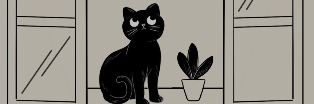 frantorresb's profile banner image