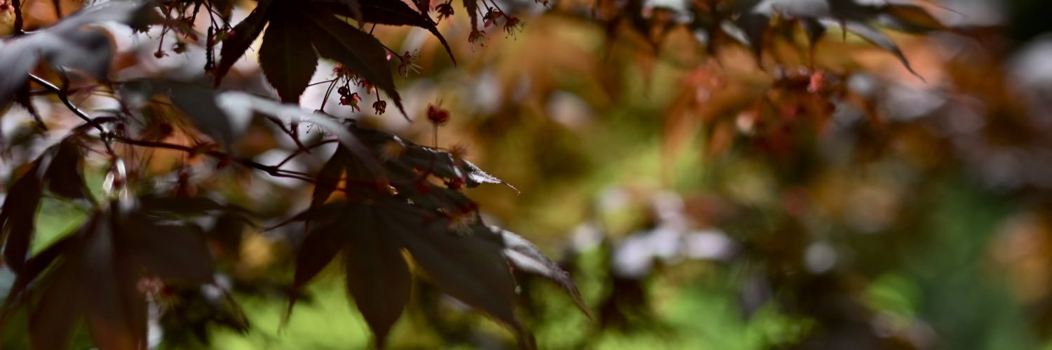 kou_d_'s profile banner image