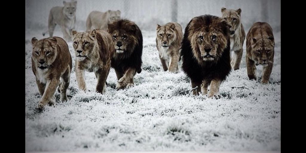 Mark Darlington banner