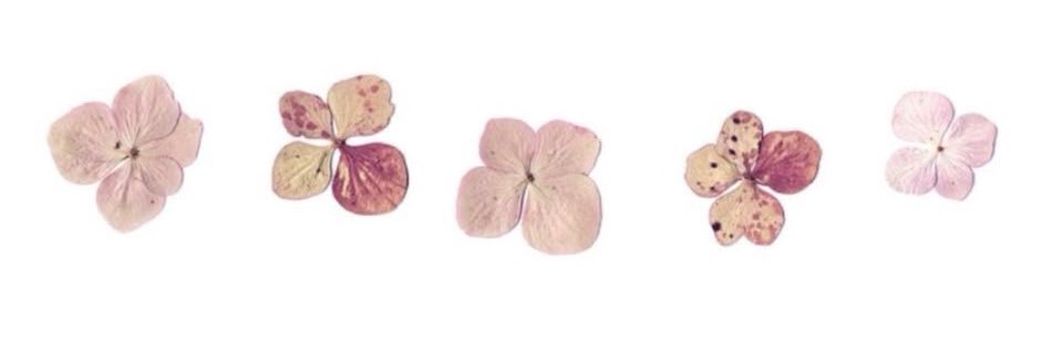 aaliyahxo__'s profile banner image