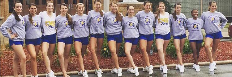 cmhpoms's profile banner image