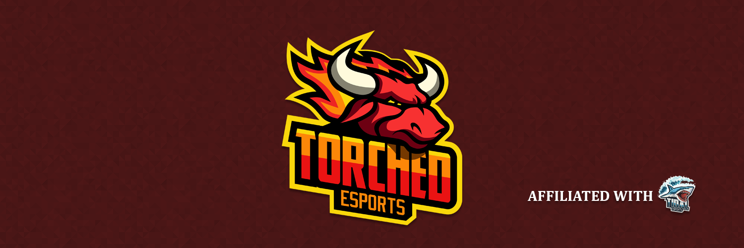 TorchedEsports's profile banner image