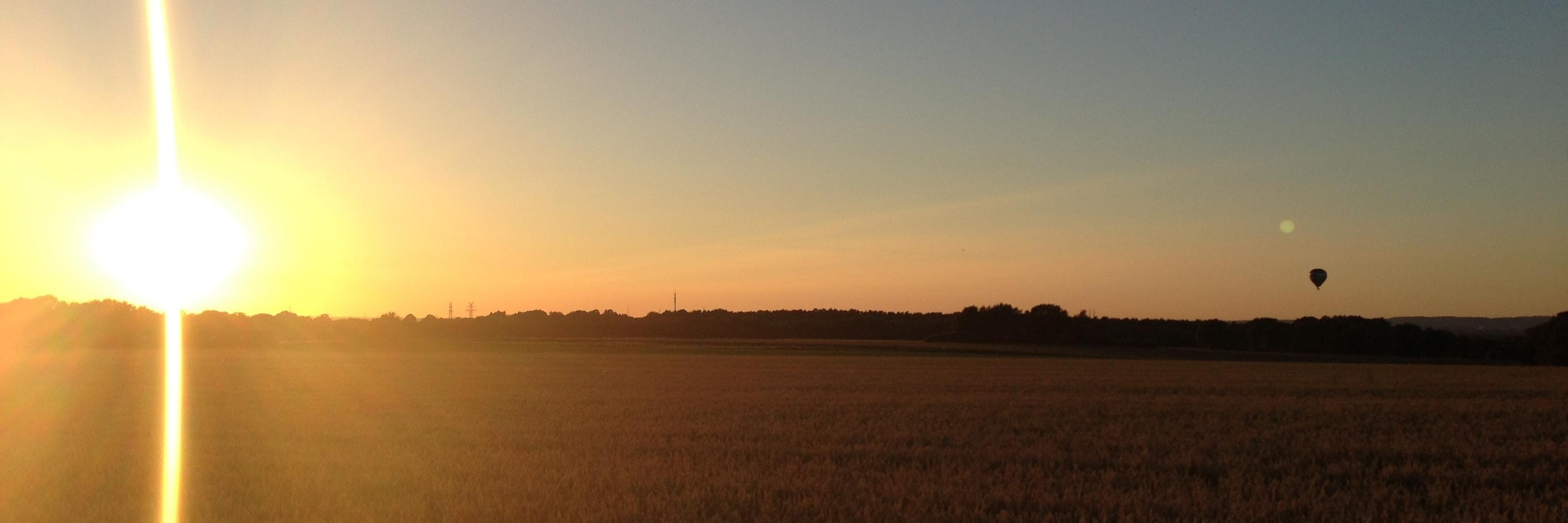 のaniel Gooß banner