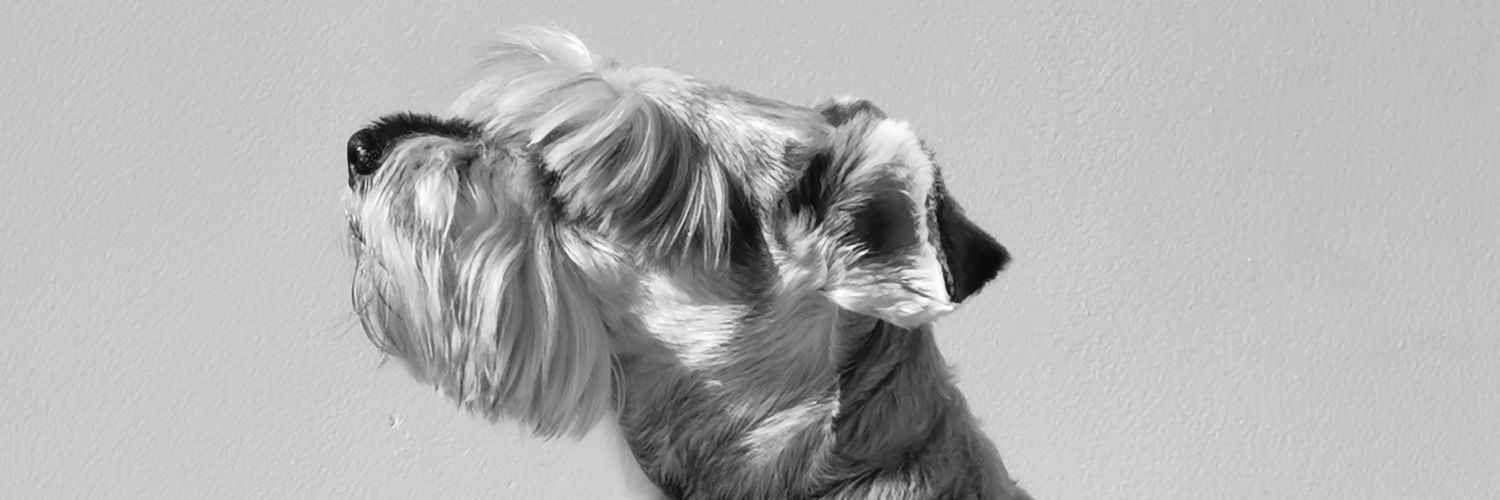 Enrique_OG2304's profile banner image