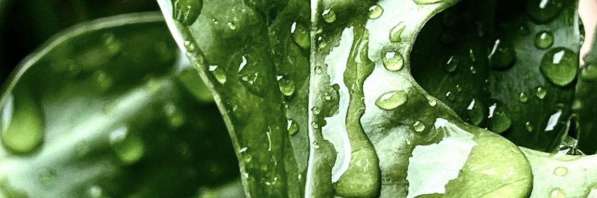 TakinPichas's profile banner image