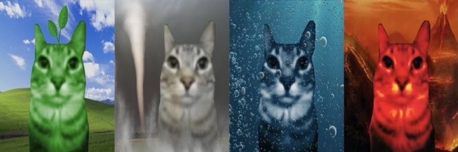 mucura falante banner