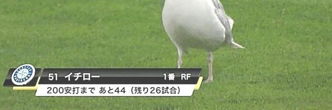 sakaagari_7's profile banner image
