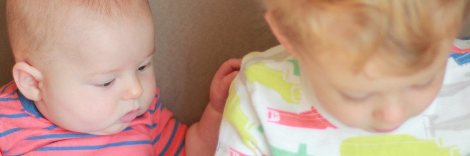 Meredith Koester banner