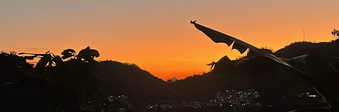 loiraaFreitas's profile banner image