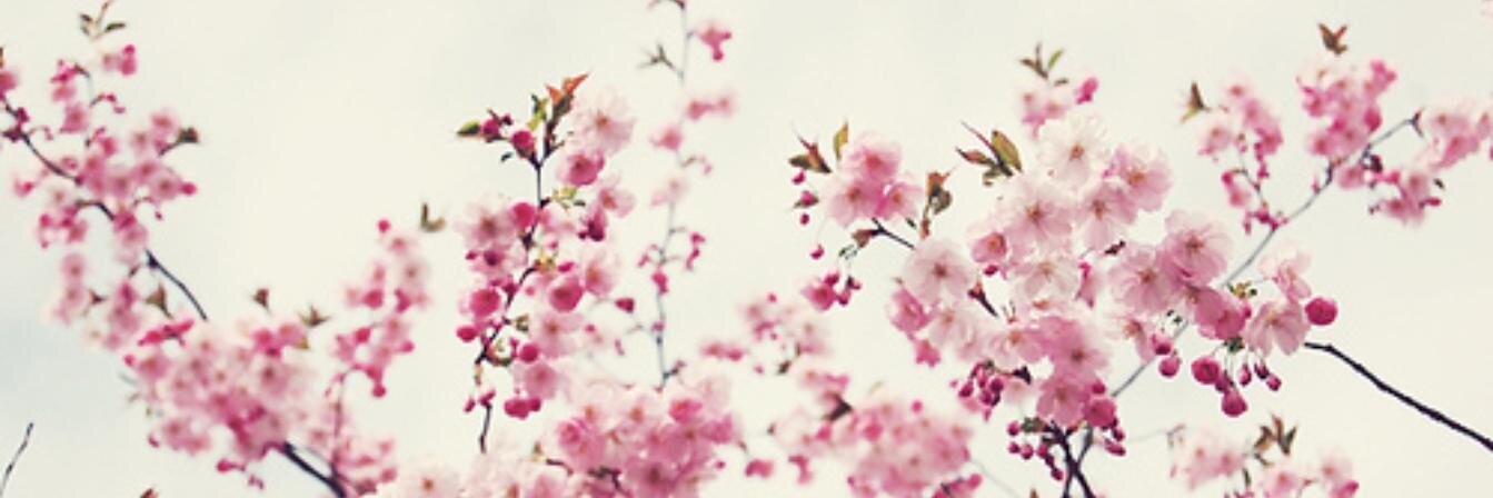 CaroAngueiraa's profile banner image