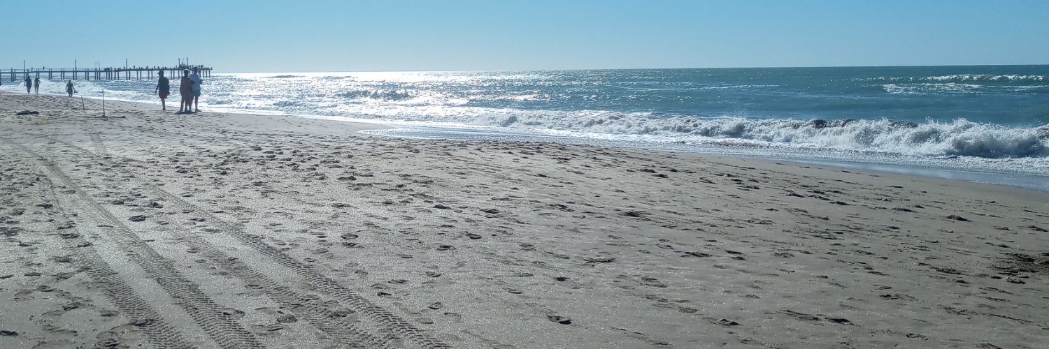 MonicaRetamal3's profile banner image