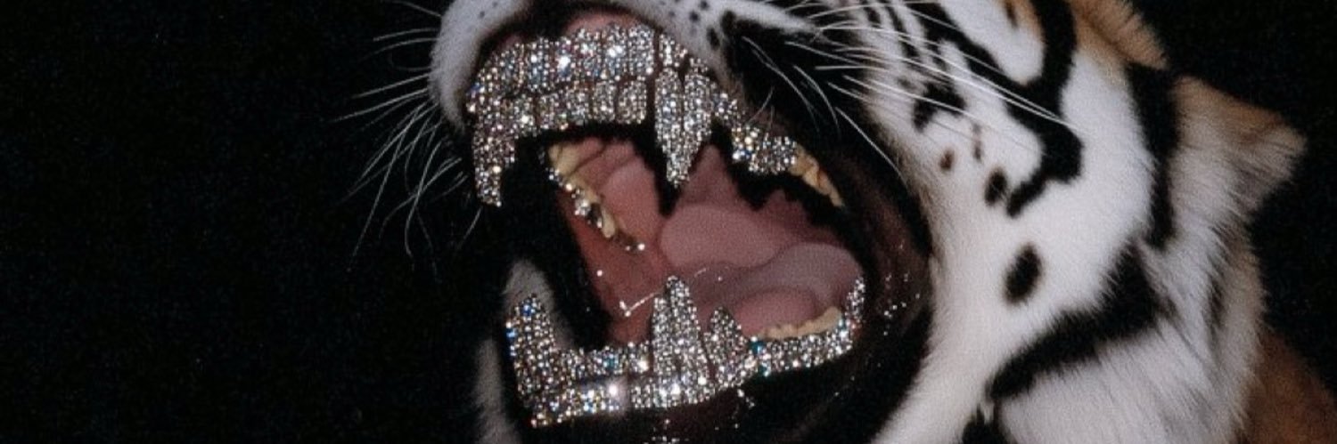 TylorHuff's profile banner image