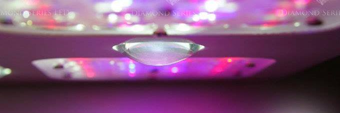 LED_Grow_Lights's profile banner image