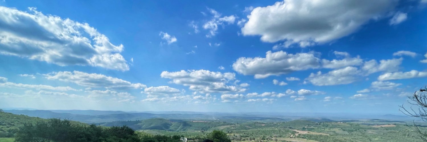 patsyamorim's profile banner image