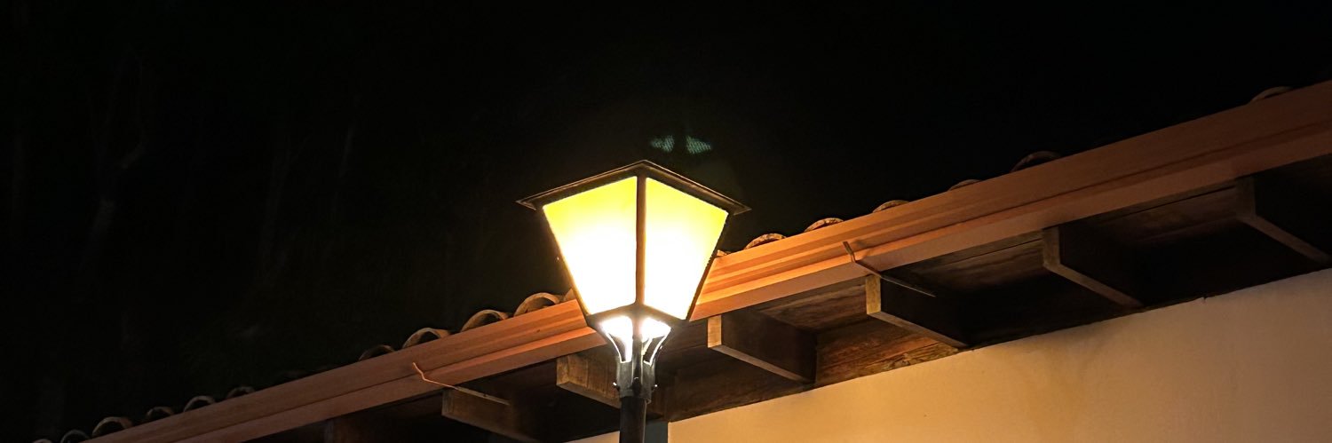 peccilia's profile banner image