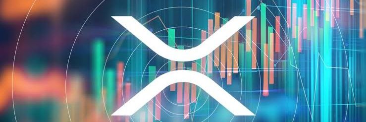 #XRPCRYPTODAVID 🌊🌊🌊 banner