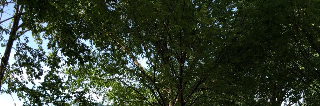trulyoby's profile banner image