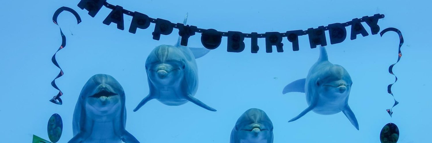 karaboyle003's profile banner image