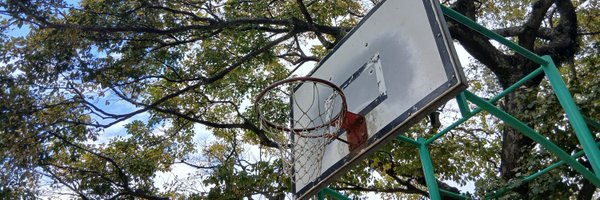 planesheep Profile Banner