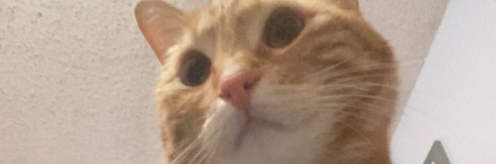 yaboisenpapi's profile banner image
