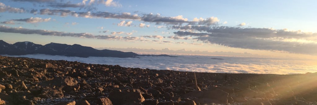 Neauxstradamus's profile banner image