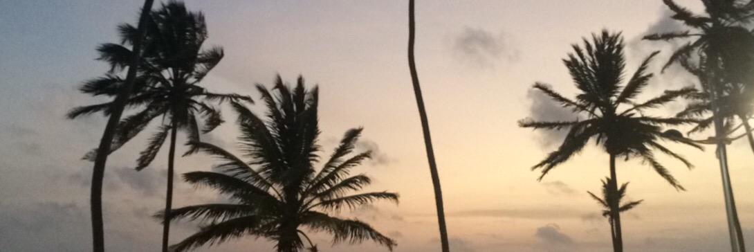leilamachuca's profile banner image
