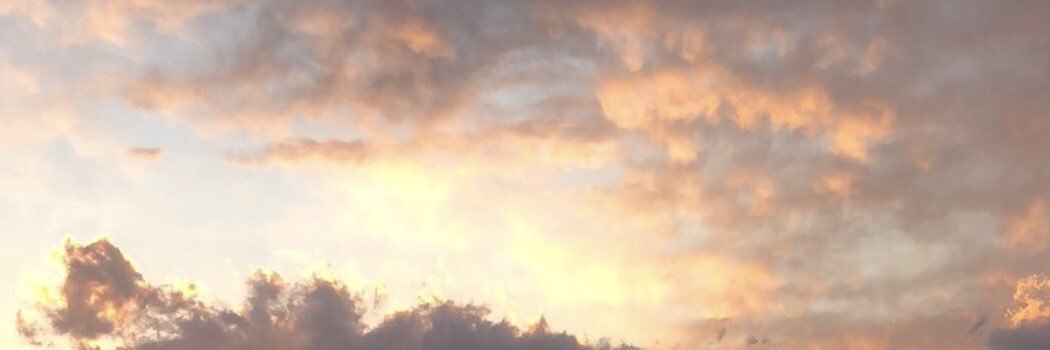 emmacolombo_'s profile banner image