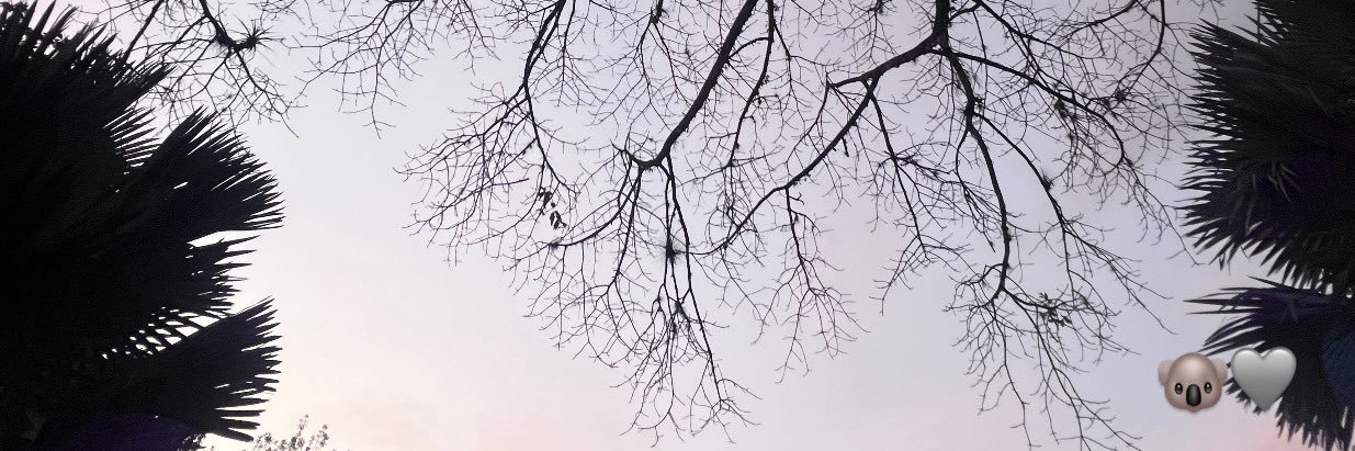 m_Juuul's profile banner image